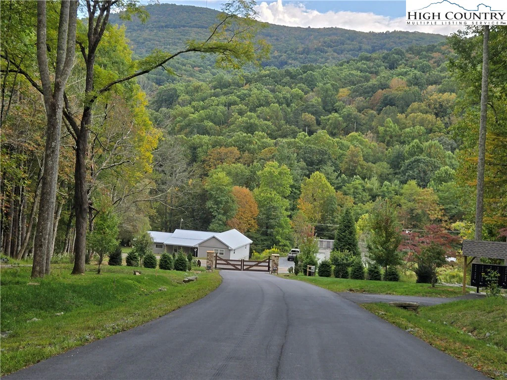 Image number 3 for the current listing