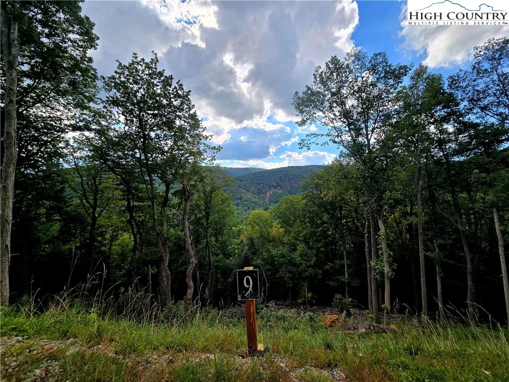 Image number 1 for the current listing