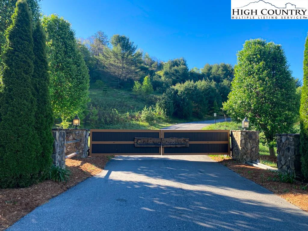 Image number 1 for the current listing