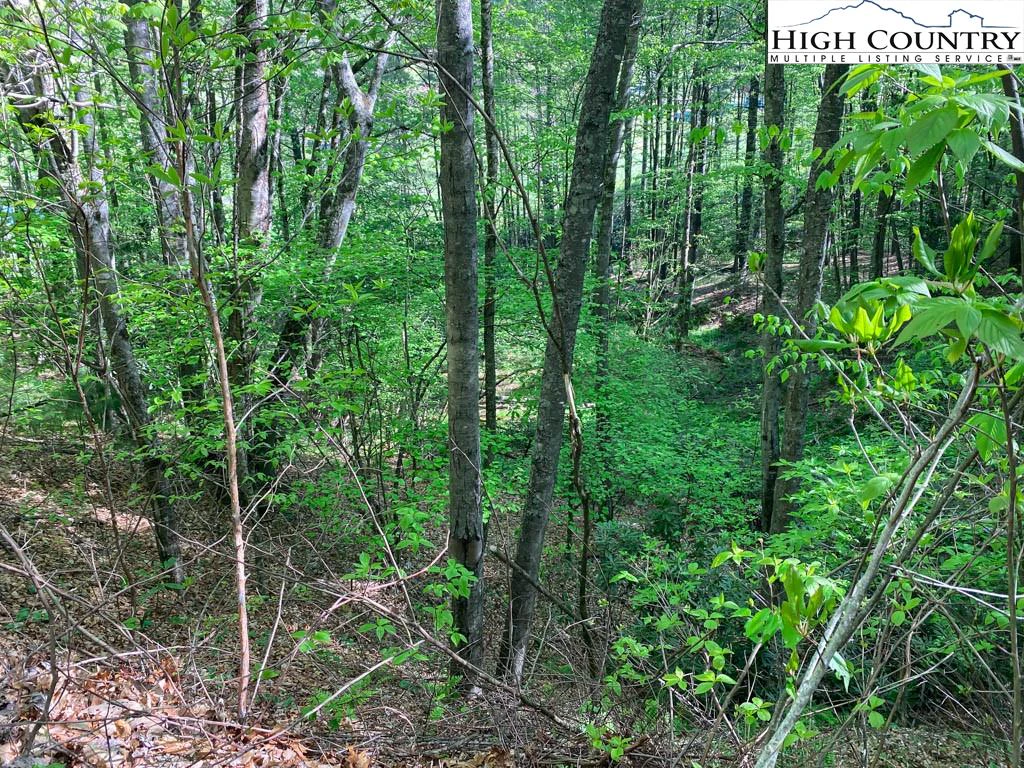 Image number 11 for the current listing
