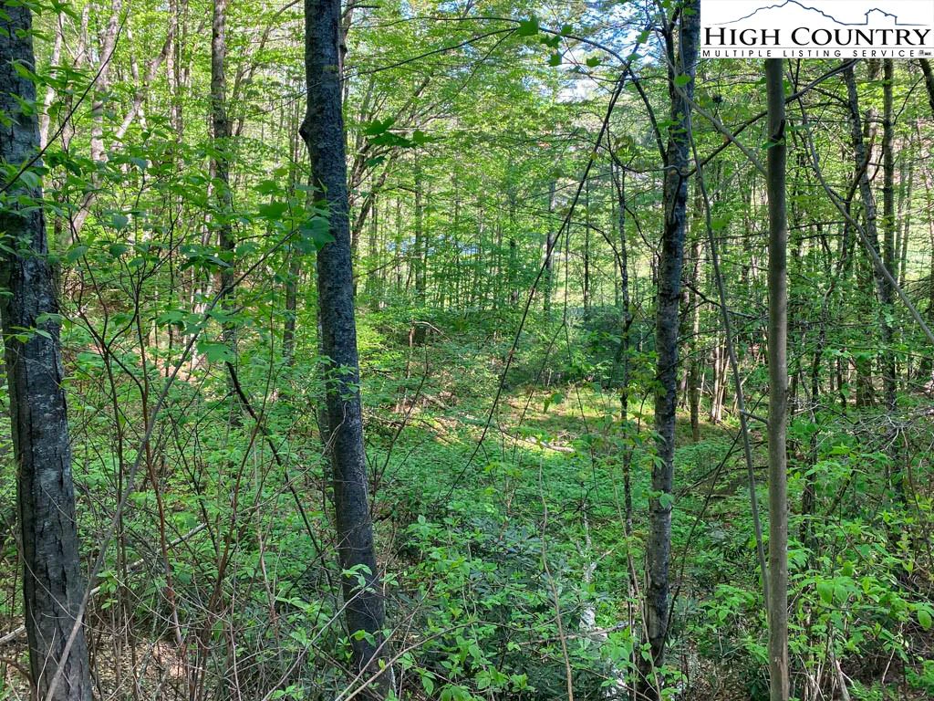 Image number 14 for the current listing