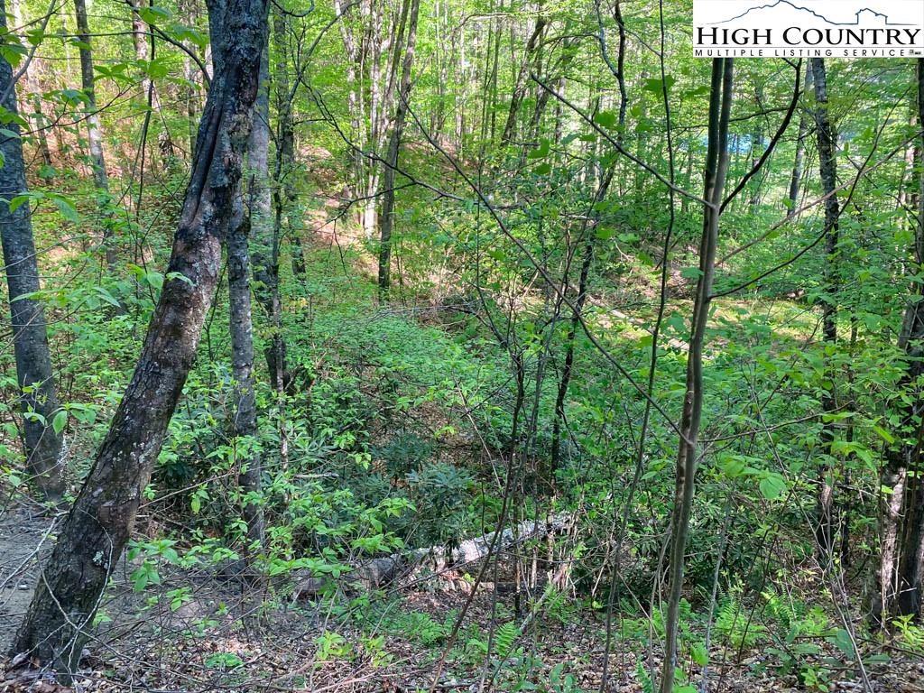 Image number 15 for the current listing