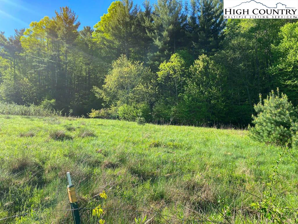 Image number 3 for the current listing
