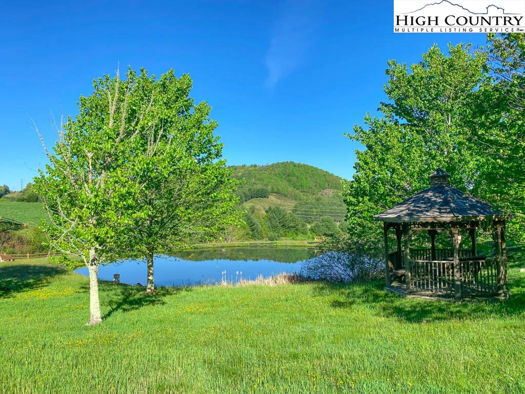 Image number 4 for the current listing