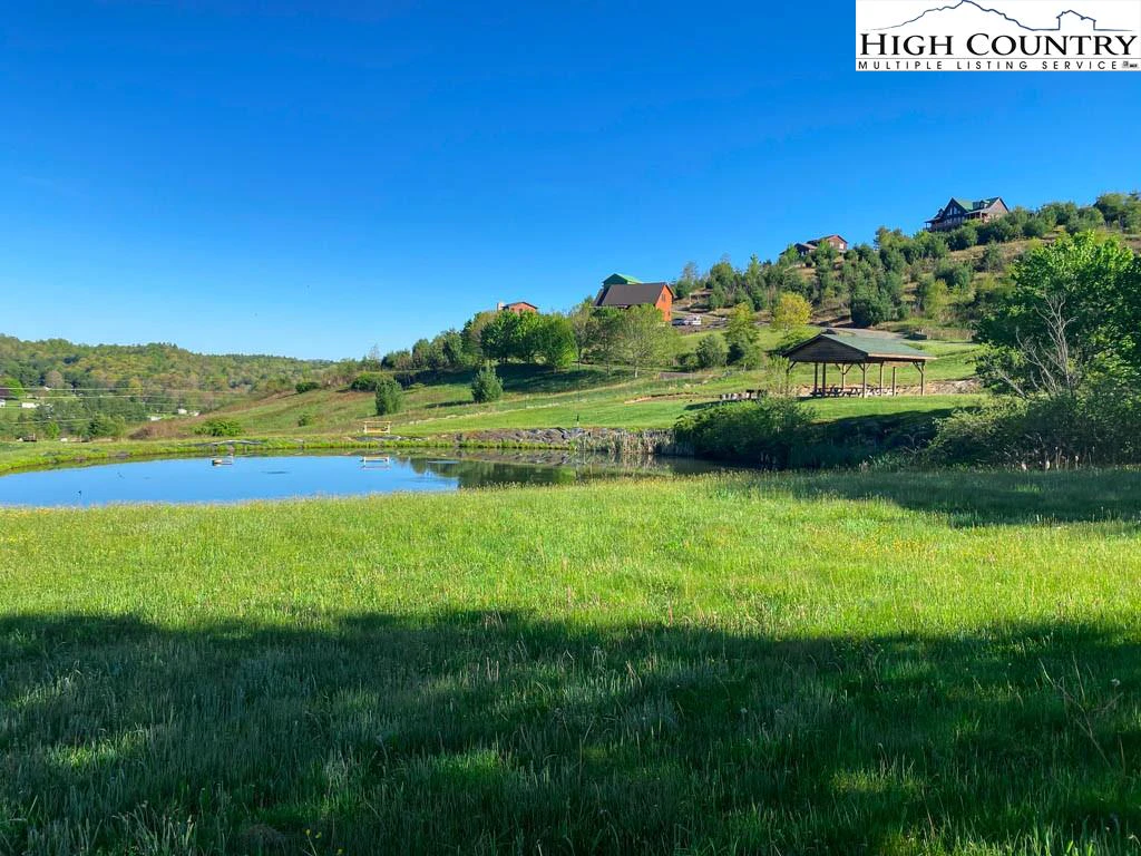 Image number 6 for the current listing