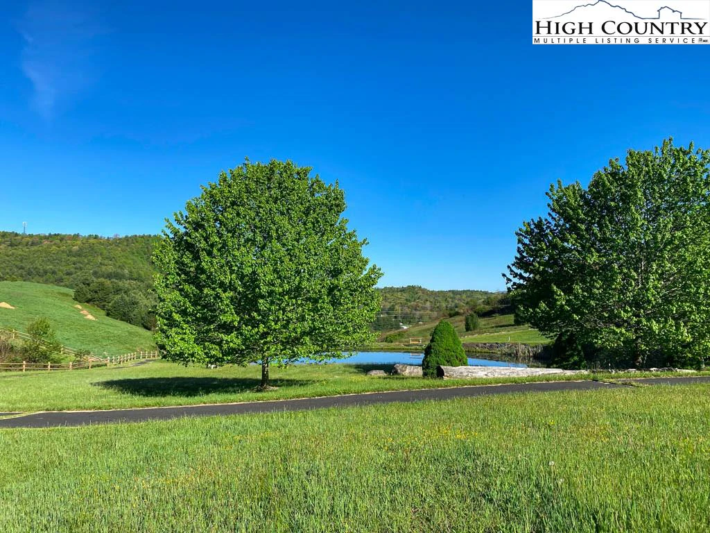 Image number 7 for the current listing