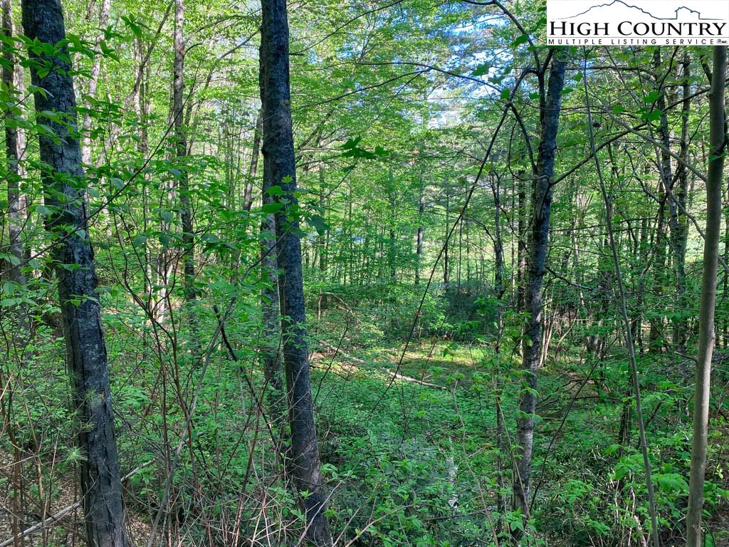Image number 9 for the current listing
