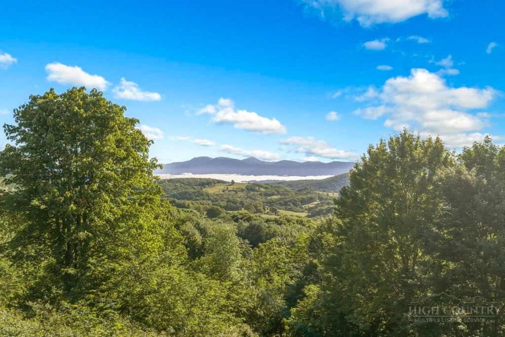 Image number 2 for the current listing