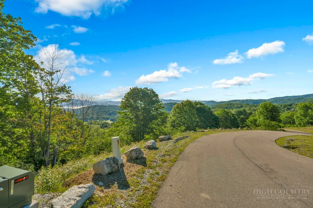 Image number 11 for the current listing