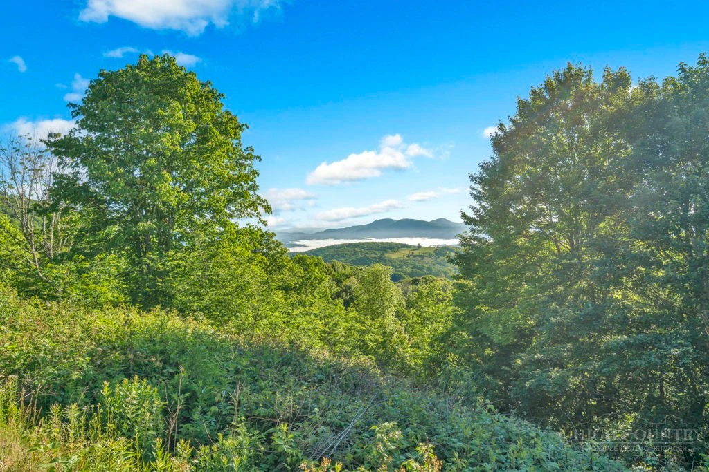 Image number 9 for the current listing