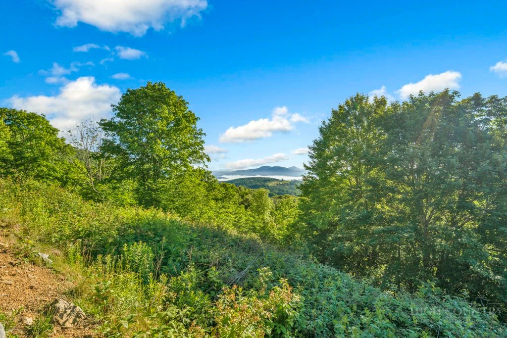 Image number 8 for the current listing