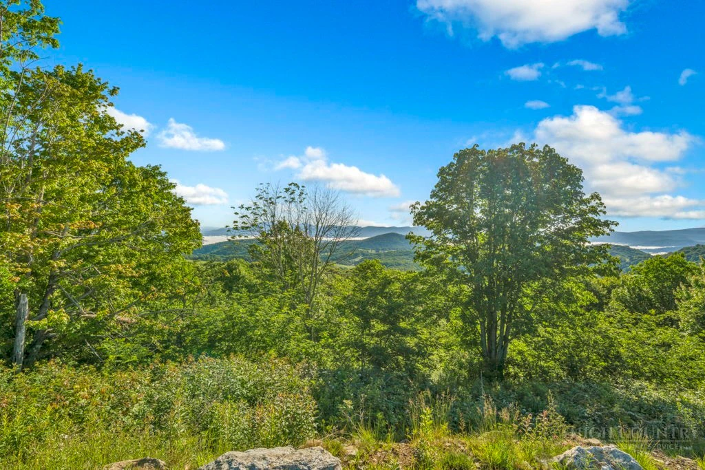Image number 7 for the current listing