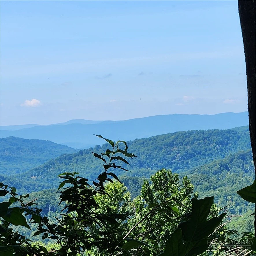 Image number 6 for the current listing
