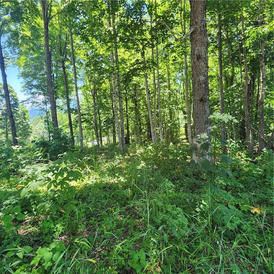 Image number 10 for the current listing