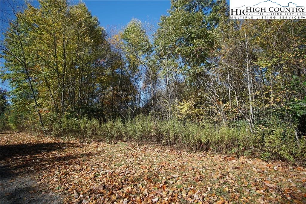 Image number 1 for the current listing
