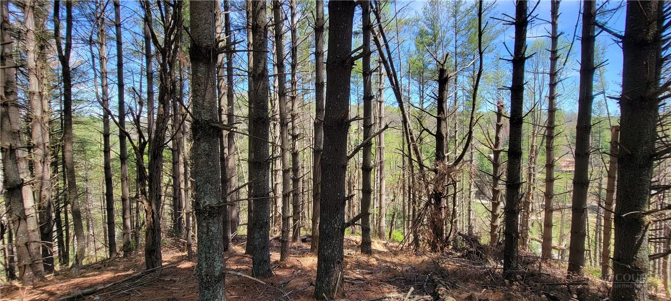 Image number 18 for the current listing