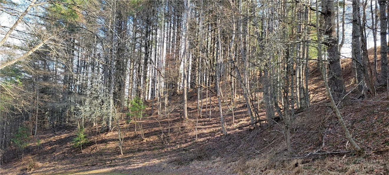Image number 2 for the current listing