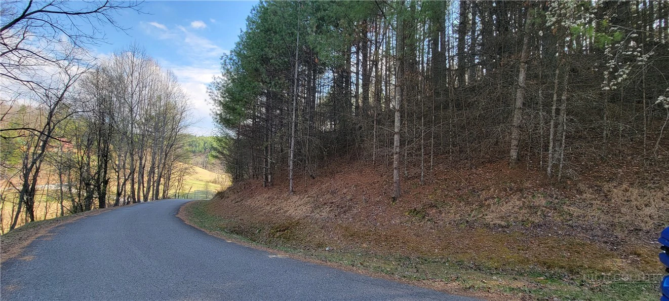 Image number 15 for the current listing