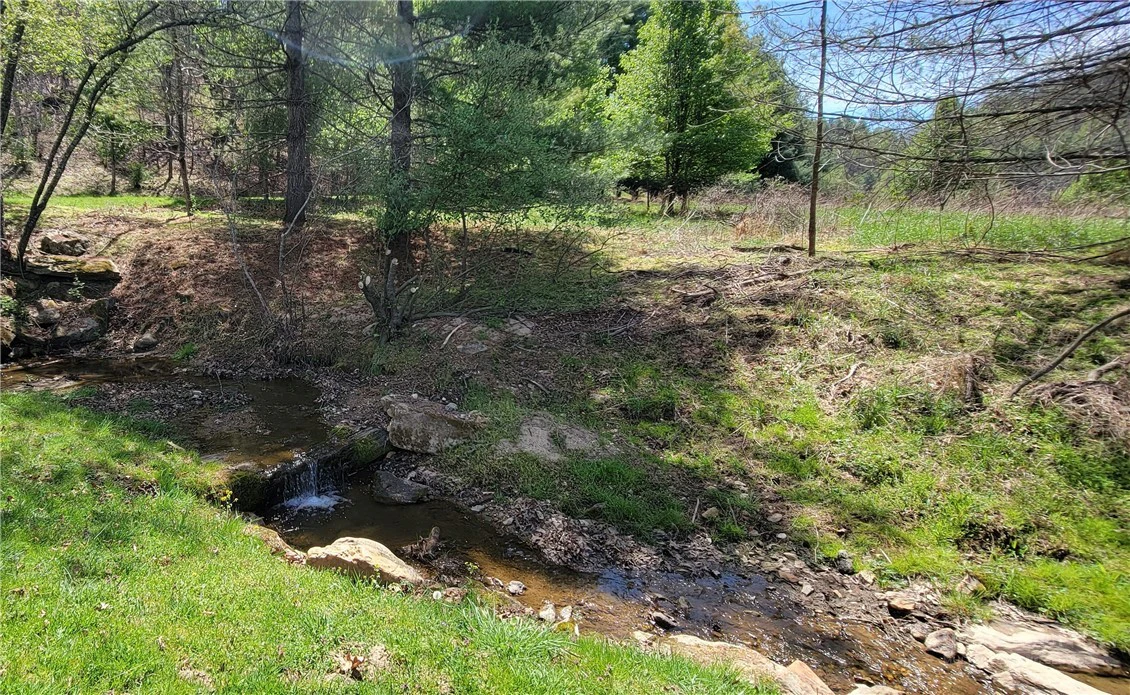 Image number 7 for the current listing