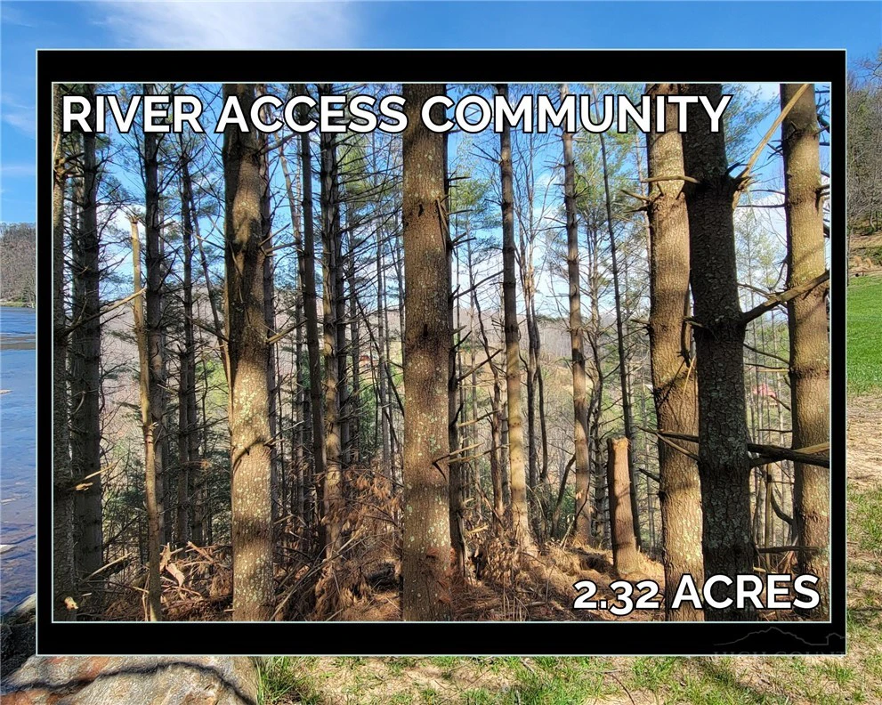 Image number 1 for the current listing