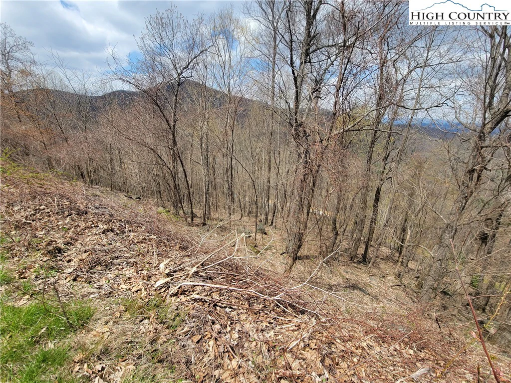 Image number 6 for the current listing
