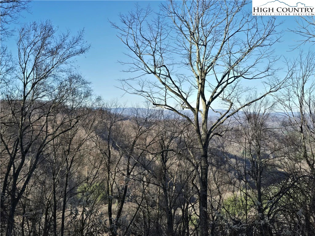 Image number 7 for the current listing