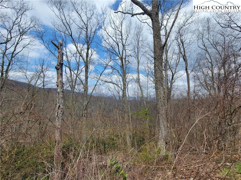 Image number 11 for the current listing