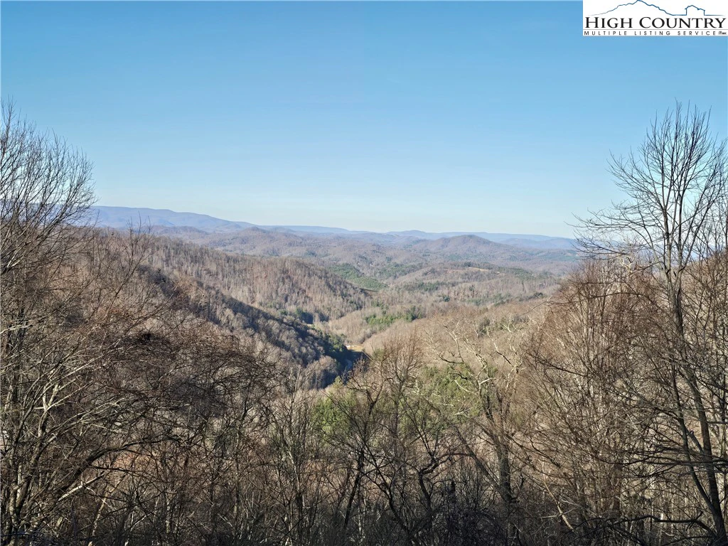 Image number 14 for the current listing