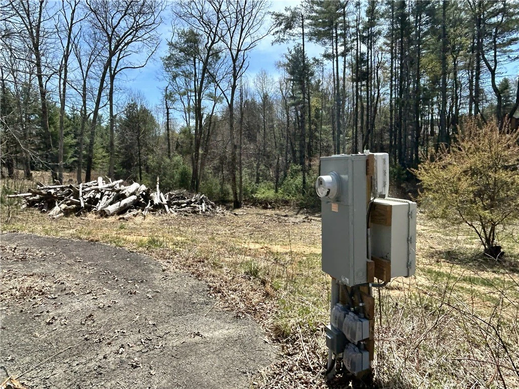 Image number 9 for the current listing