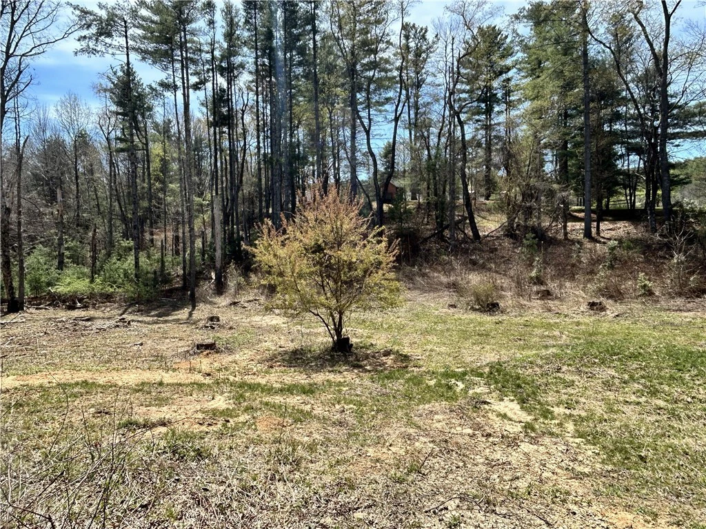 Image number 1 for the current listing