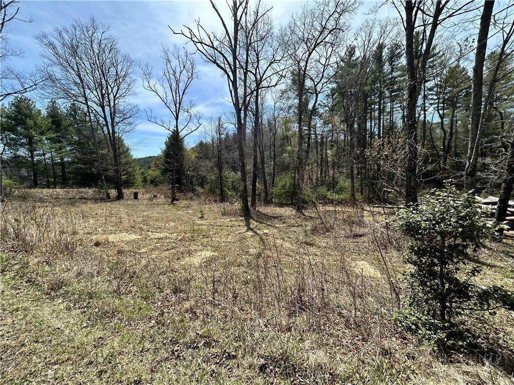 Image number 3 for the current listing