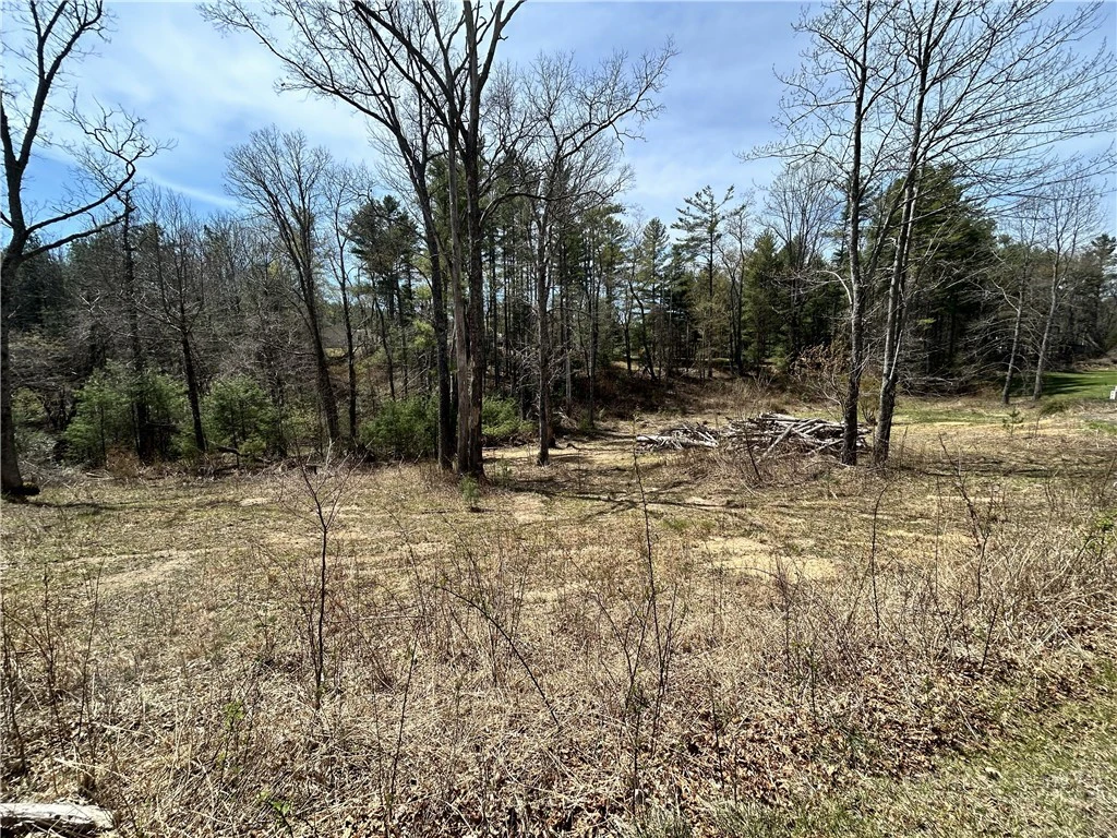 Image number 4 for the current listing