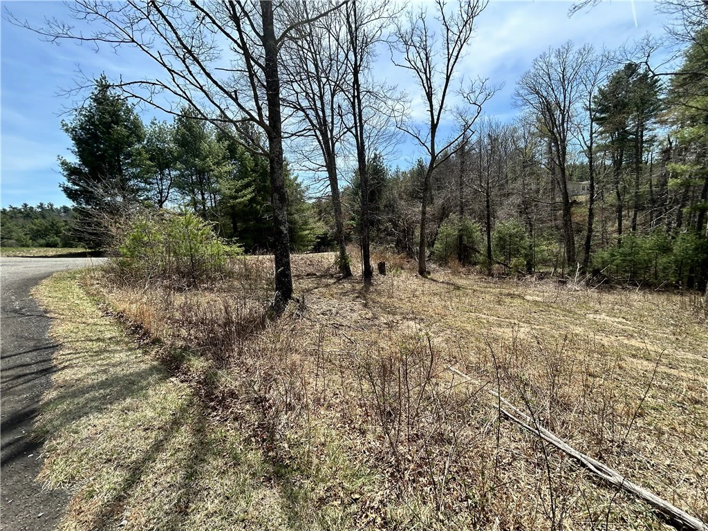 Image number 5 for the current listing