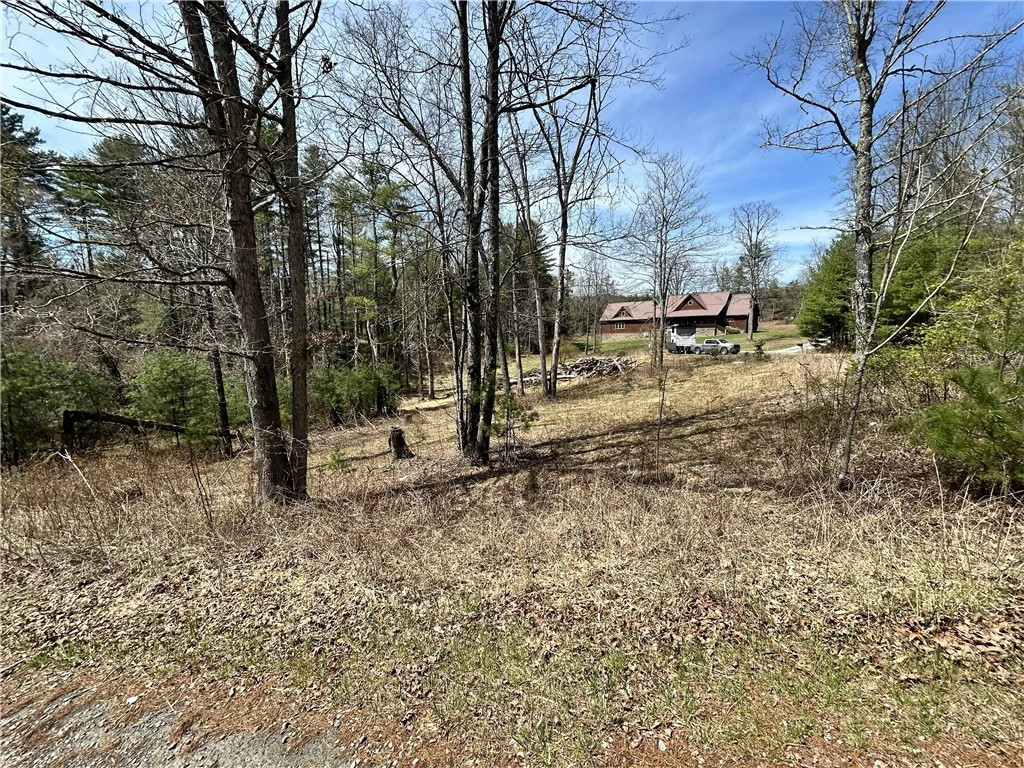 Image number 6 for the current listing