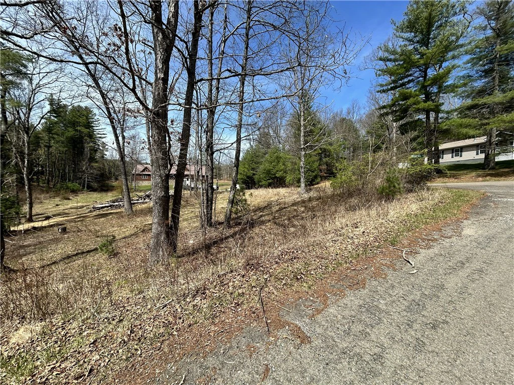 Image number 8 for the current listing