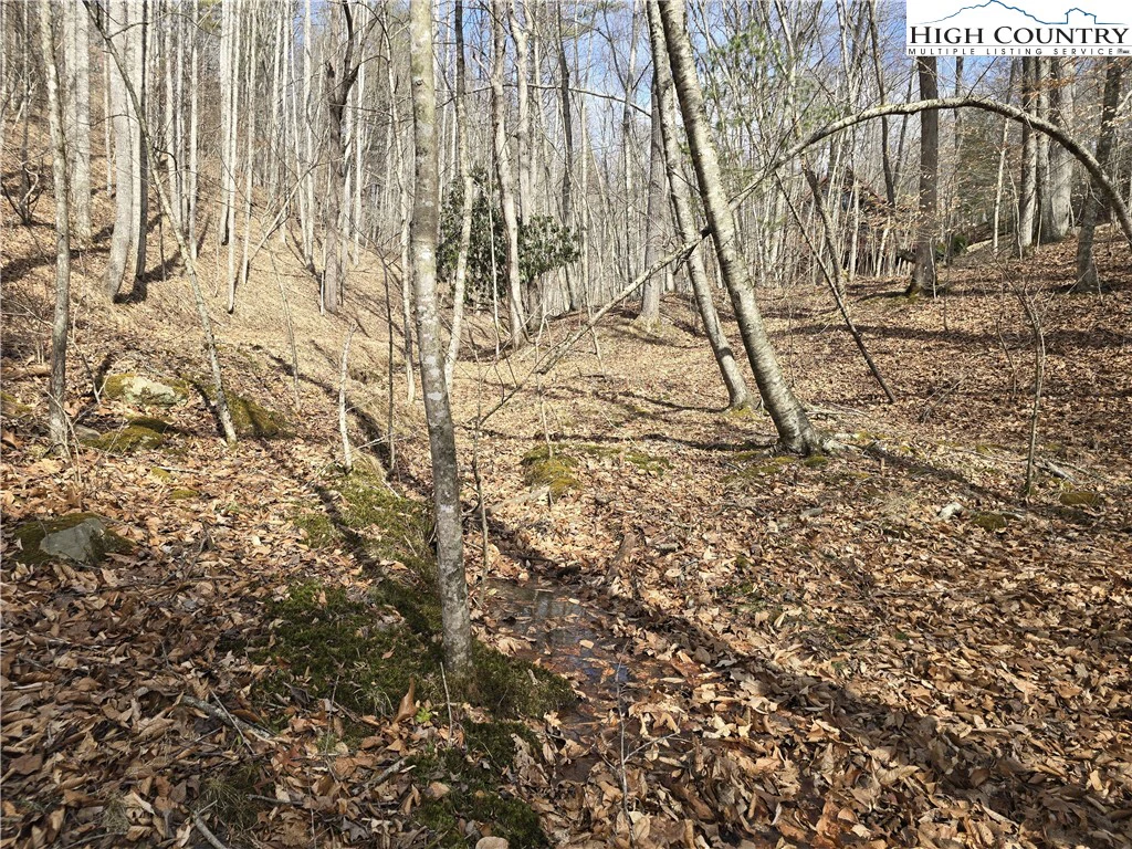 Image number 6 for the current listing