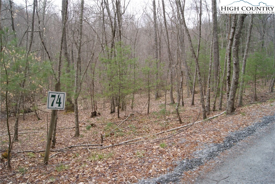Image number 13 for the current listing