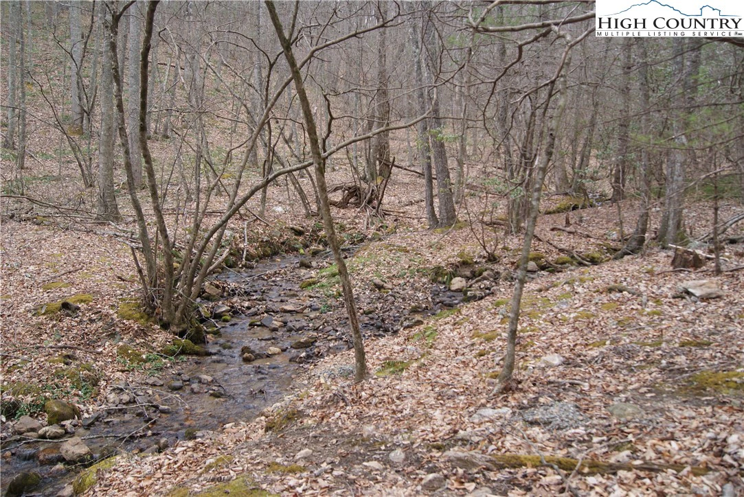 Image number 12 for the current listing