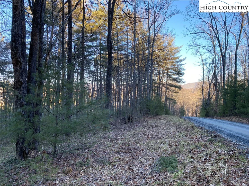 Image number 1 for the current listing