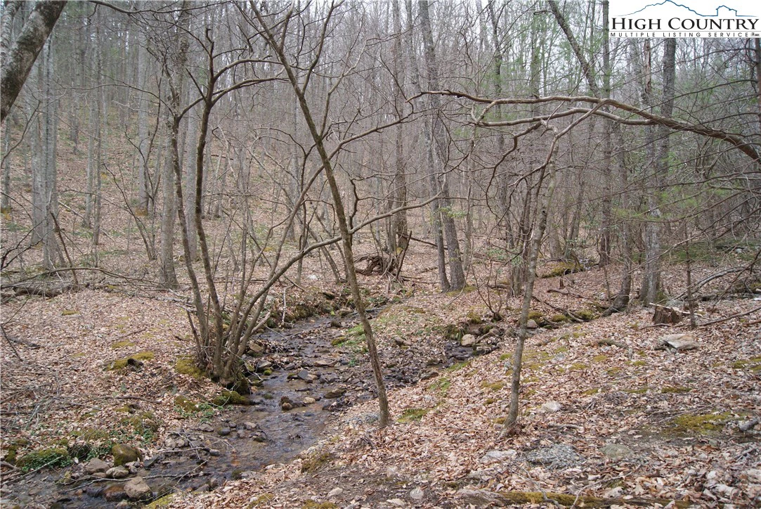 Image number 5 for the current listing