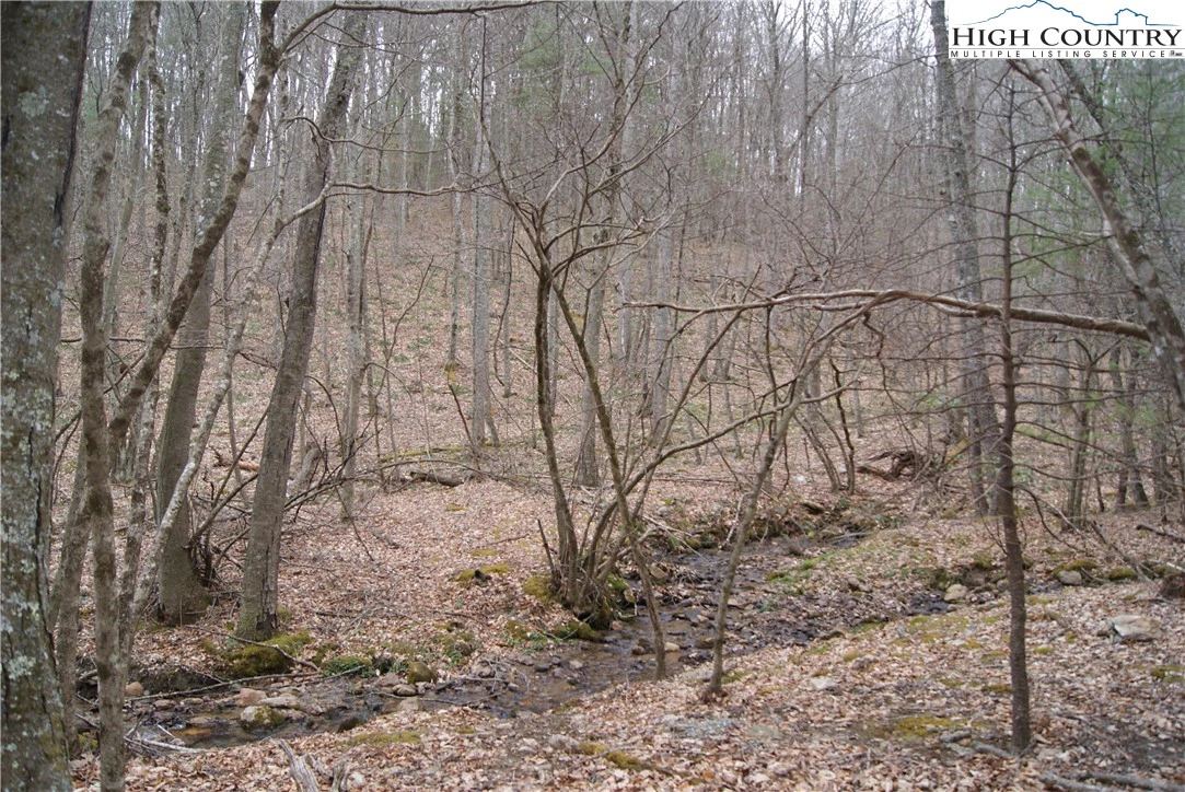 Image number 4 for the current listing