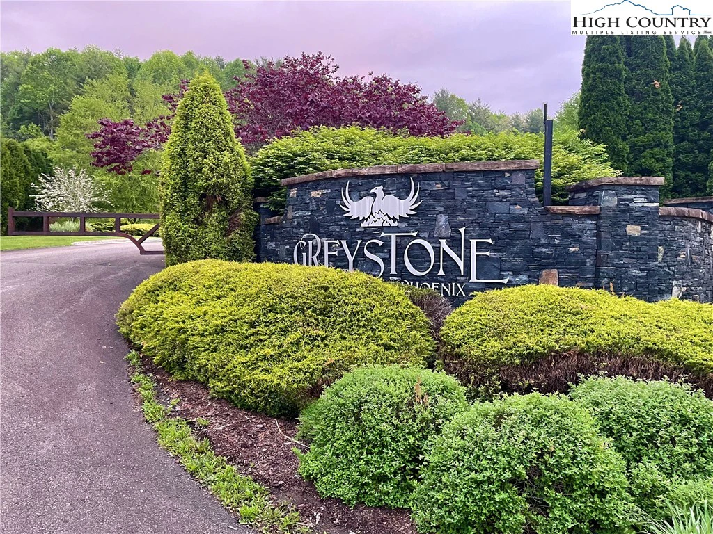 Image number 14 for the current listing
