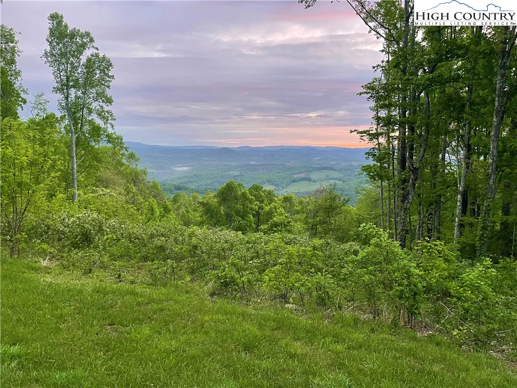 Image number 3 for the current listing