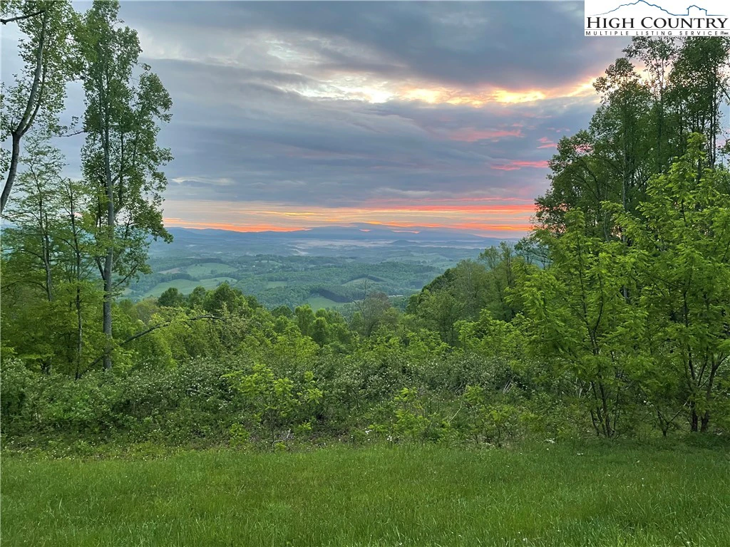 Image number 1 for the current listing