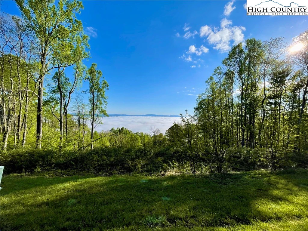 Image number 13 for the current listing