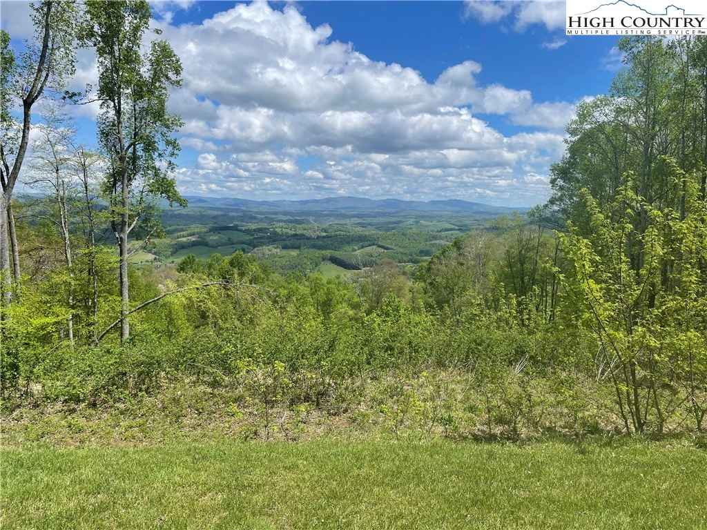 Image number 12 for the current listing