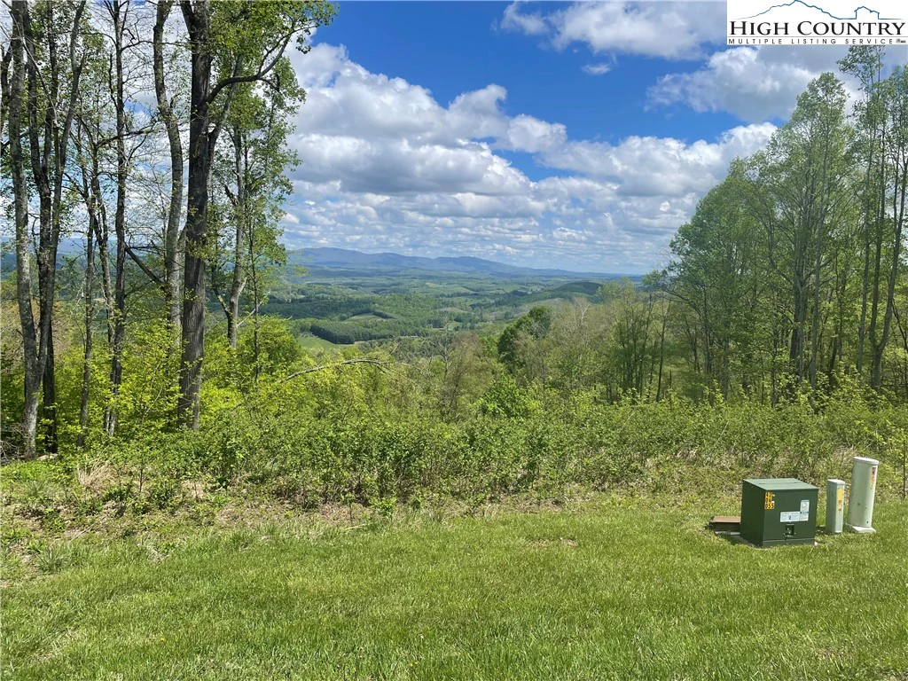 Image number 11 for the current listing