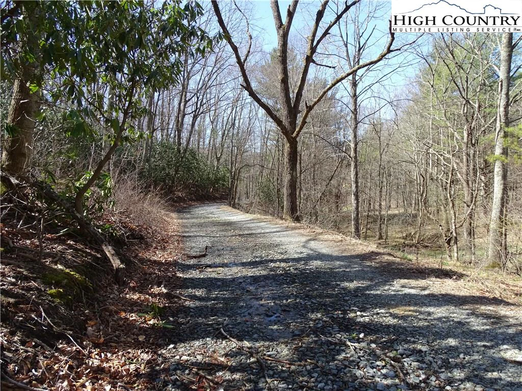 Image number 1 for the current listing