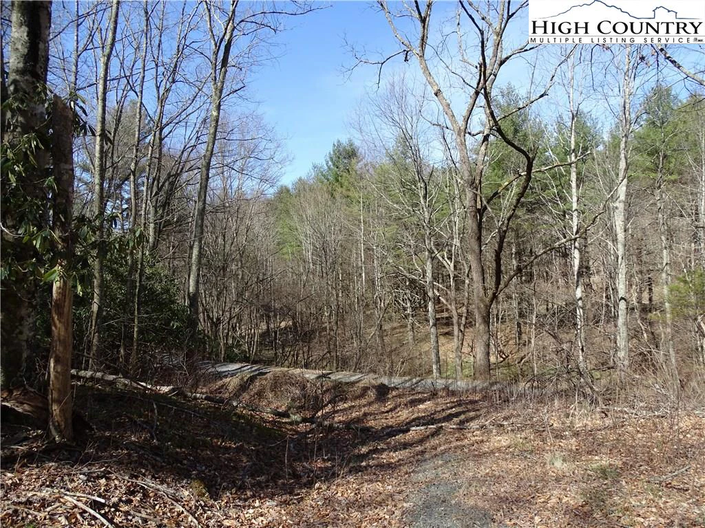 Image number 11 for the current listing