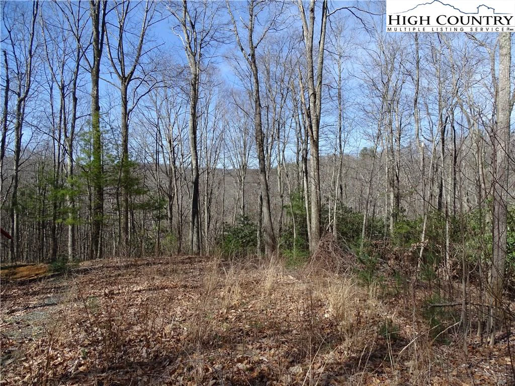 Image number 4 for the current listing